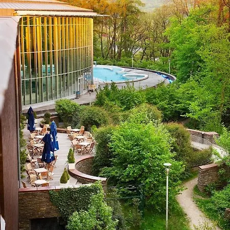 Paddock - Wellness & D'hotes *