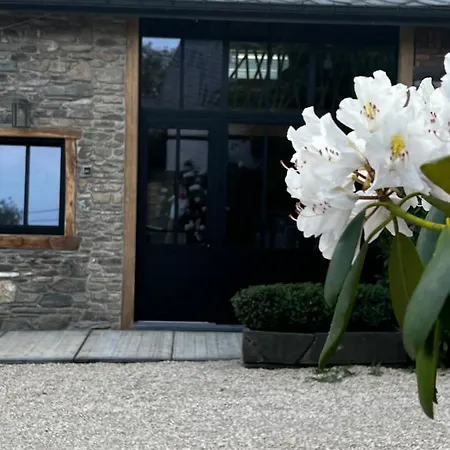 Bed & Breakfast Paddock - Wellness & D'hotes *