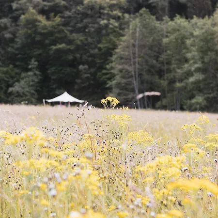 Paddock - Wellness & D'hotes Oda ve Kahvaltı Stoumont