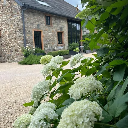 Bed & Breakfast Paddock - Wellness & D'hotes