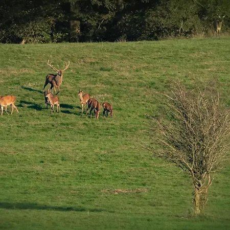 Paddock - Wellness & D'hotes