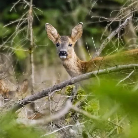Paddock - Wellness & D'hotes Nocleg ze śniadaniem 4*