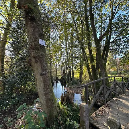 Nocleg ze śniadaniem Paddock - Wellness & D'hotes 4*