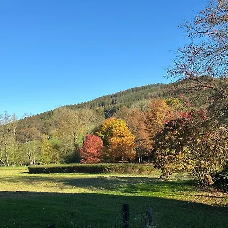 Paddock - Wellness & D'hotes 4* Stoumont