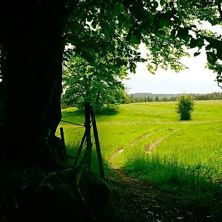 Bed and Breakfast Paddock - Wellness & D'hotes 4*