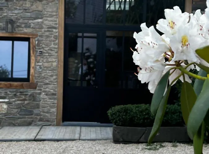 Bed & Breakfast Paddock - Wellness & D'hotes 4*