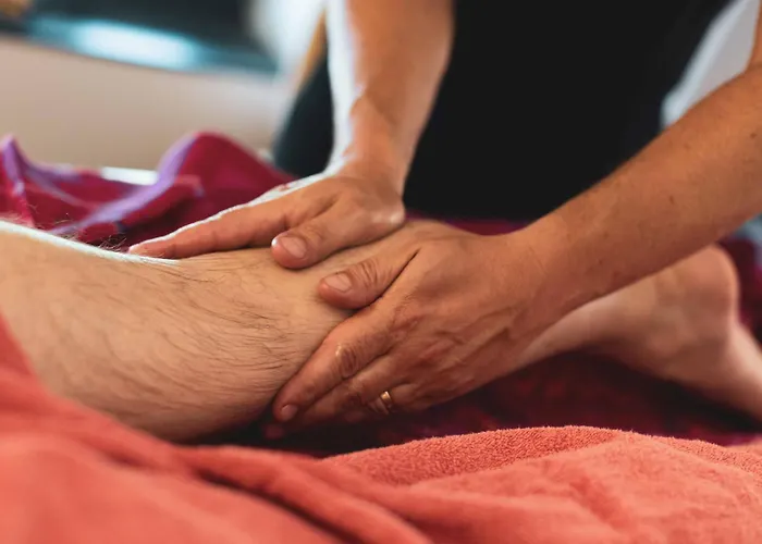 Paddock - Wellness & D'hotes Bed & Breakfast