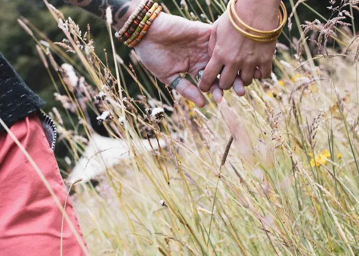 Paddock - Wellness & D'hotes 4* Stoumont