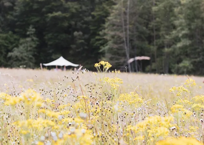 Paddock - Wellness & D'hotes Bed & Breakfast Stoumont