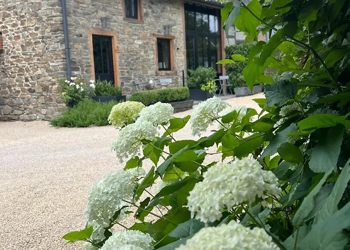 Bed & Breakfast Paddock - Wellness & D'hotes