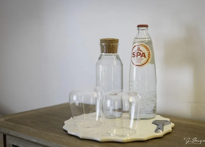 Paddock - Wellness & D'hotes 4* Stoumont