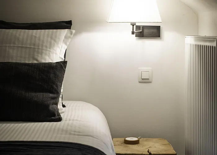 Paddock - Wellness & D'hotes Bed & Breakfast 4*